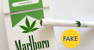 Illustration for article titled 10 More Viral Photos That Are Actually Total Fakes